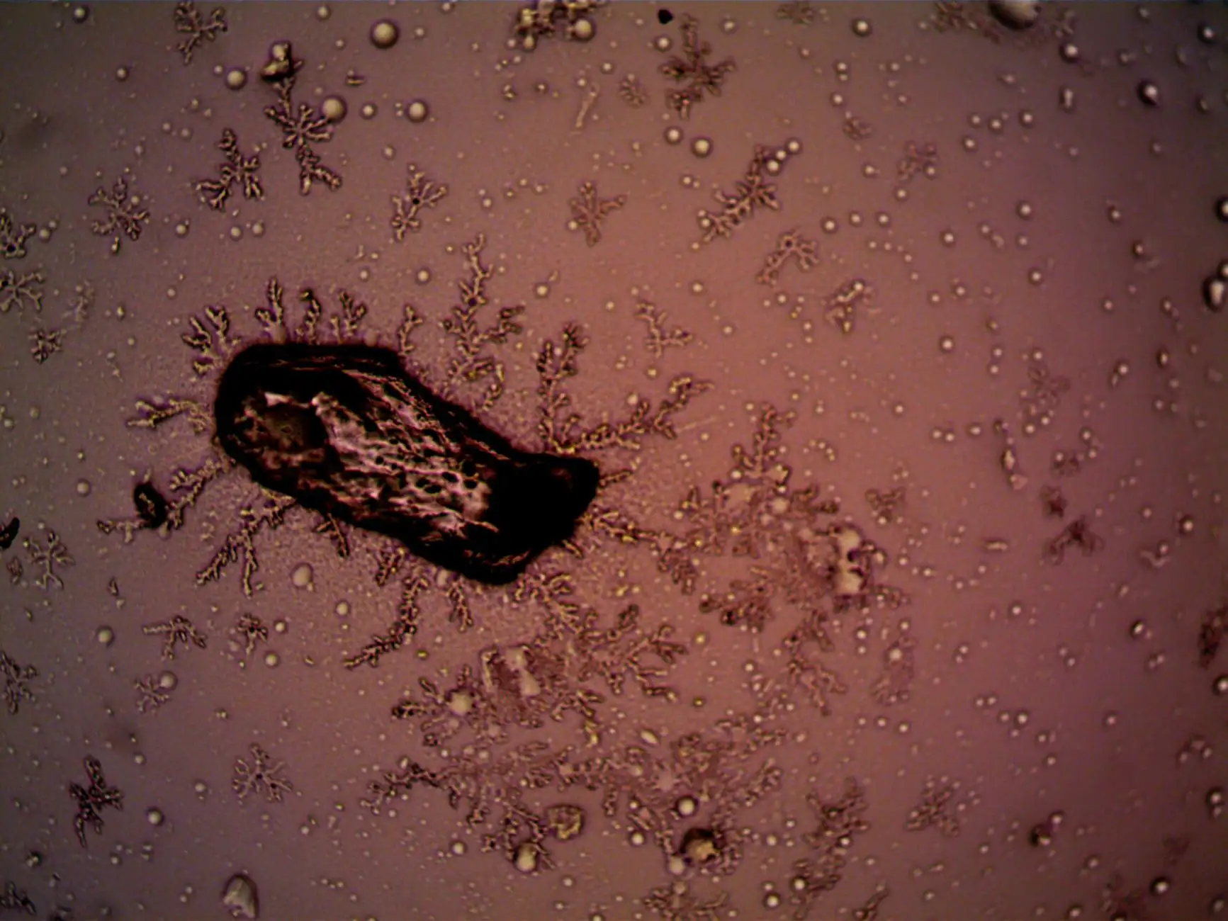 商超渠道抽纸选品趋势:从面巾纸克重与柔韧度看品质升级